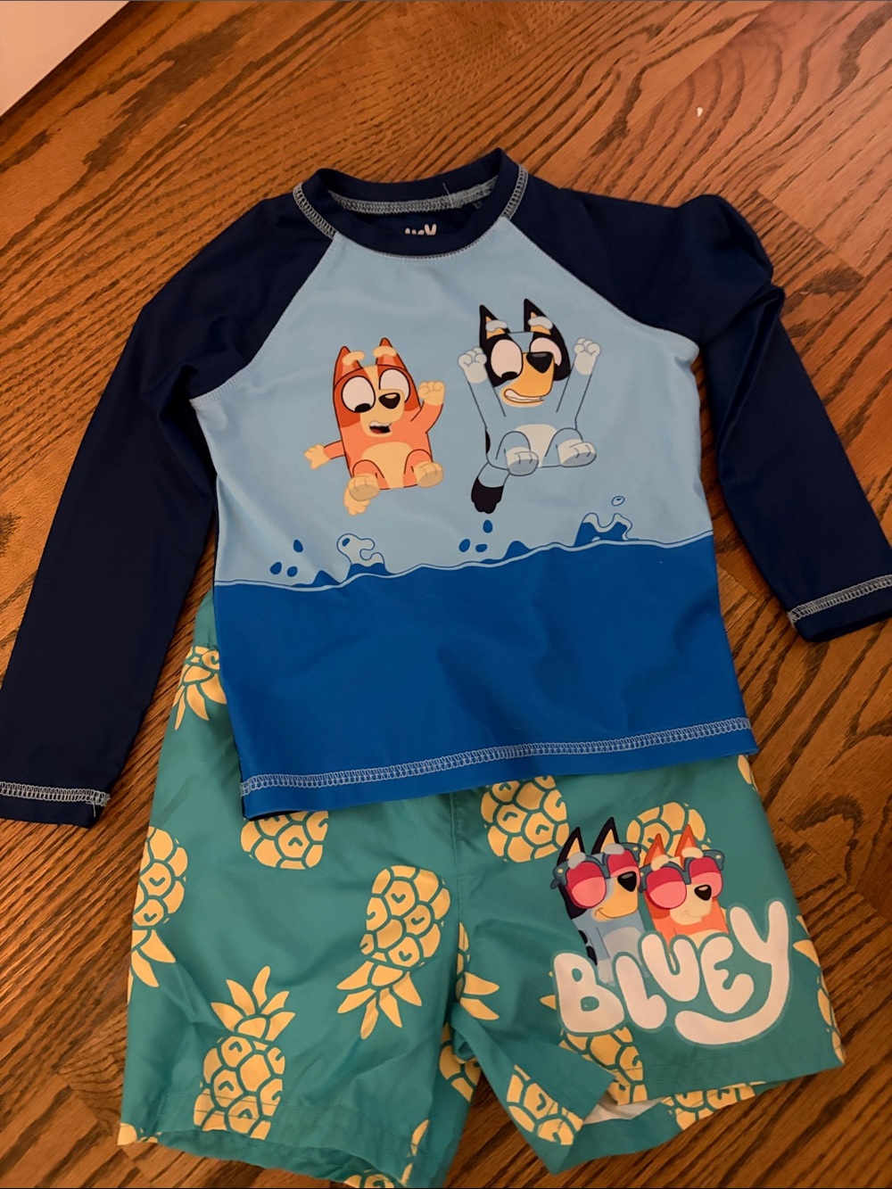 Bluey Kids Rashguard Set - Navy & Teal Swim Top with Pineapple Trunks